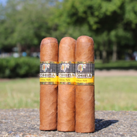 Cohiba Medio Siglo Cigar - 1 Single